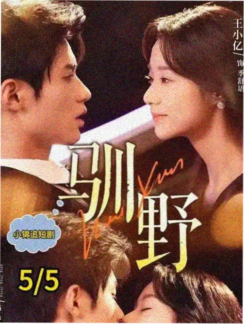 赘婿·经典版 电视剧 2019 张艺谋